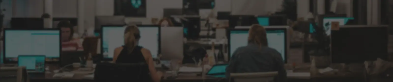 Full Stack Developer